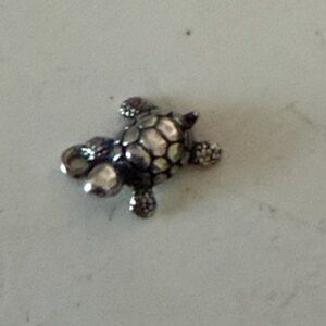 James Avery Turtle Charm